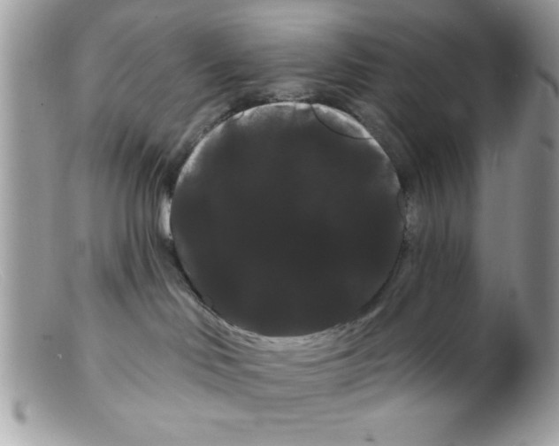 X0000098130046200805151126