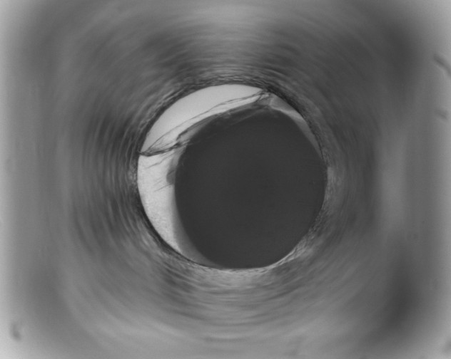 X0000098130048200805151126