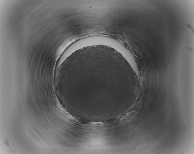 X0000098130052200805151125