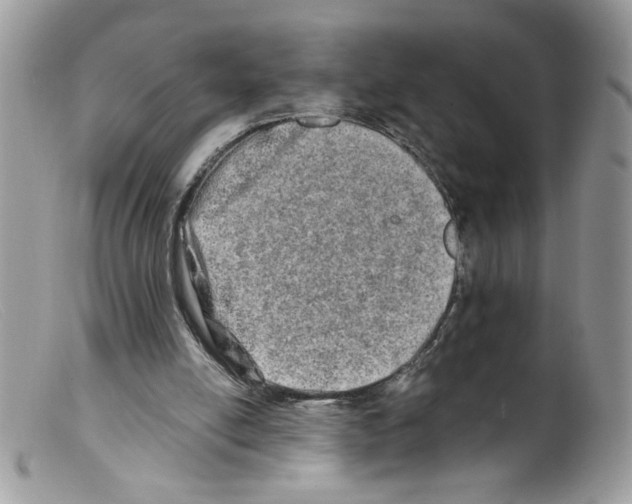 X0000098130054200805151125