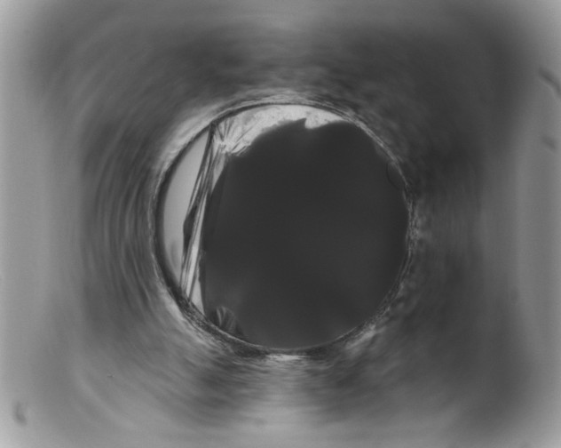 X0000098130055200805151125