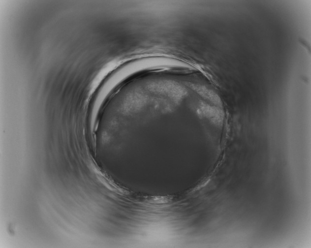 X0000098130056200805151125