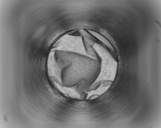 X0000098130058200805151125