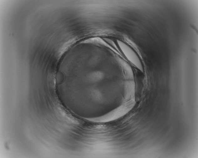 X0000098130059200805151125