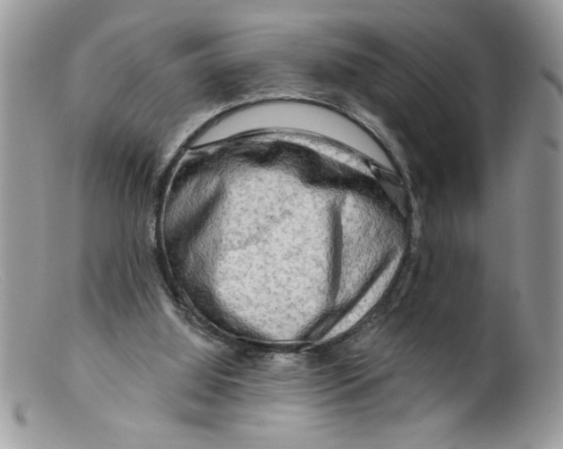 X0000098130060200805151125