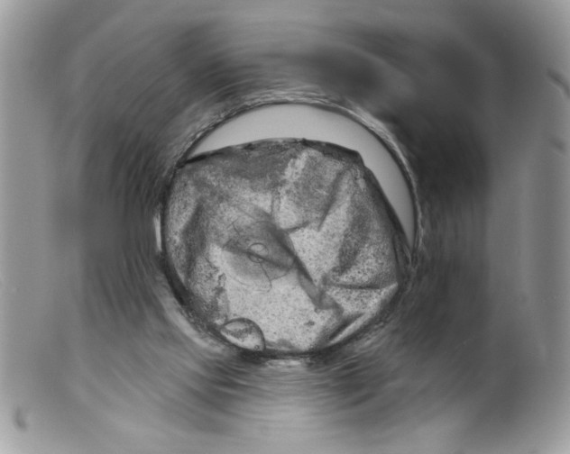 X0000098130061200805151125