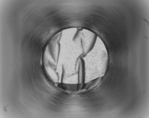 X0000098130062200805151125