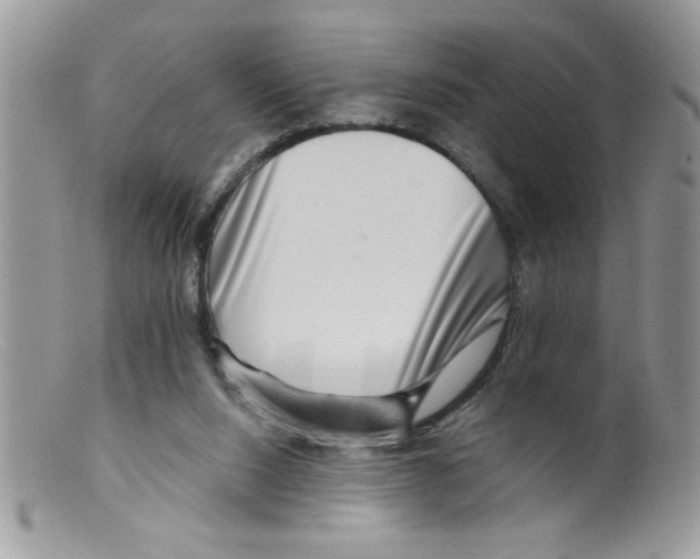 X0000098130064200805151125