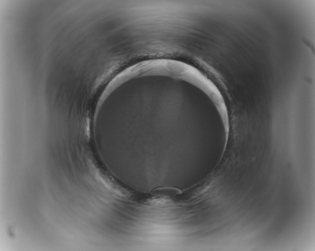 X0000098130067200805151125