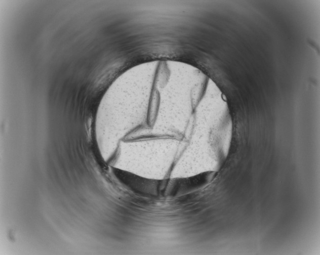 X0000098130070200805151125