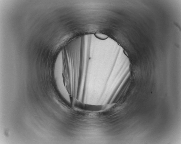 X0000098130072200805151125