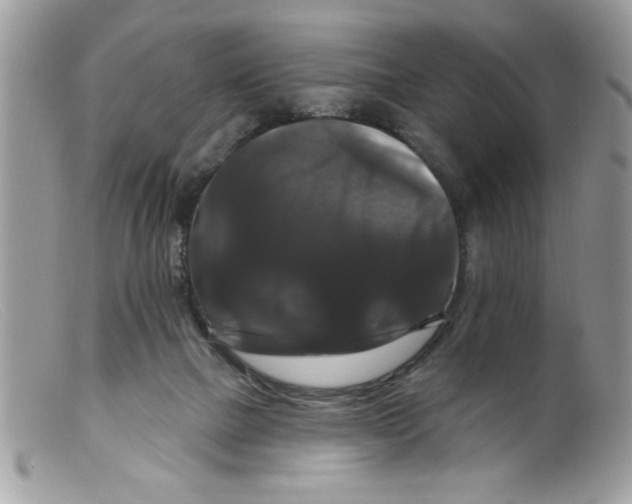 X0000098130073200805151125