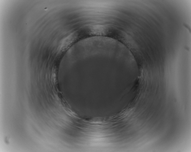X0000098130080200805151126