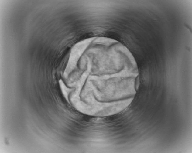 X0000098130082200805151126