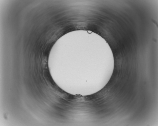 X0000098130083200805151126
