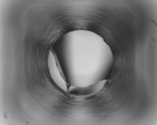 X0000098130084200805151126