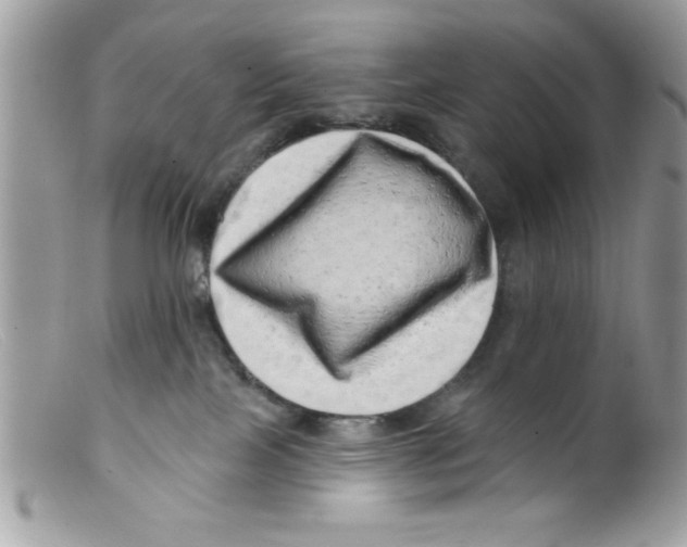 X0000098130089200805151126