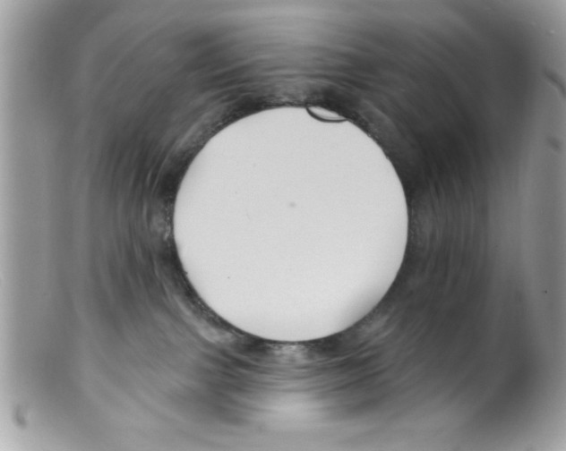 X0000098130091200805151126