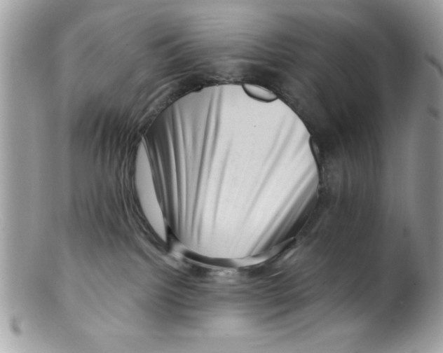 X0000098130092200805151126