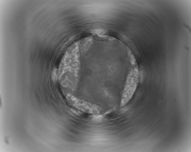 X0000098130093200805151126