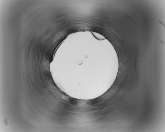 X0000098130096200805151126