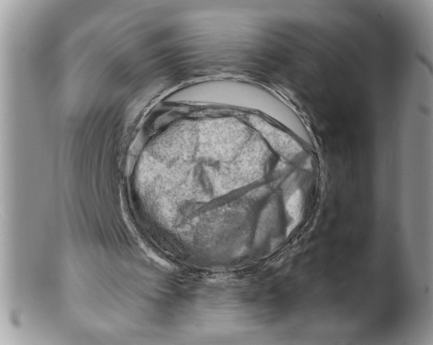 X0000098130097200805151125