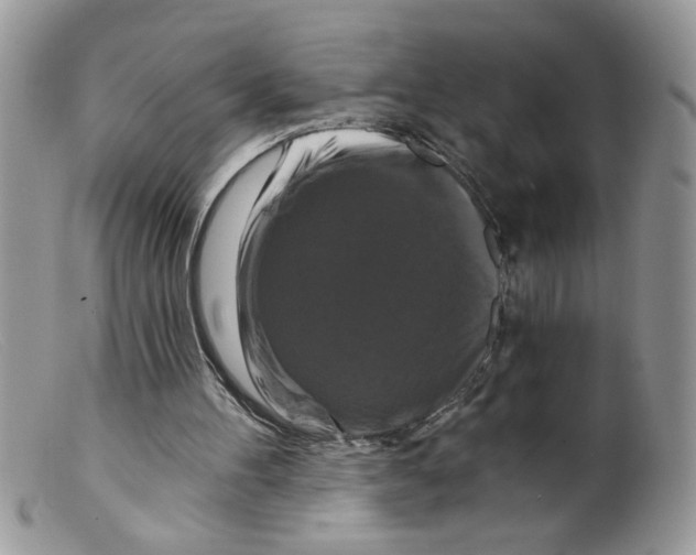 X0000098130100200805151125