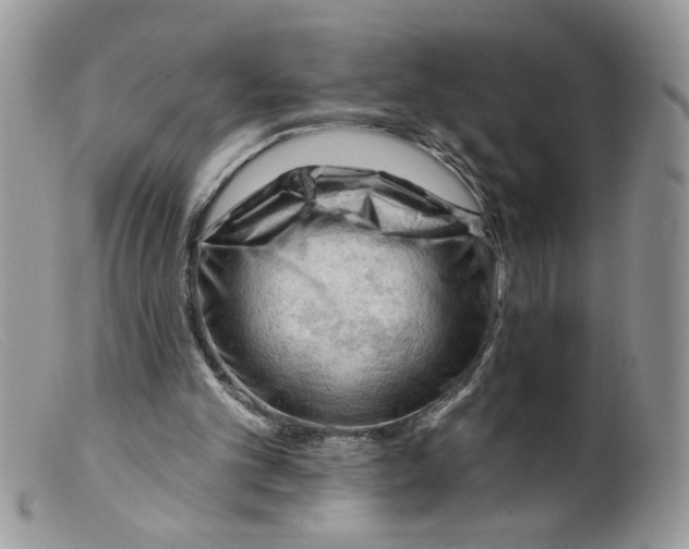X0000098130101200805151125
