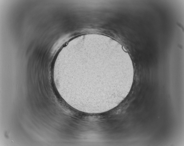 X0000098130103200805151125