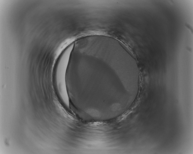 X0000098130104200805151125