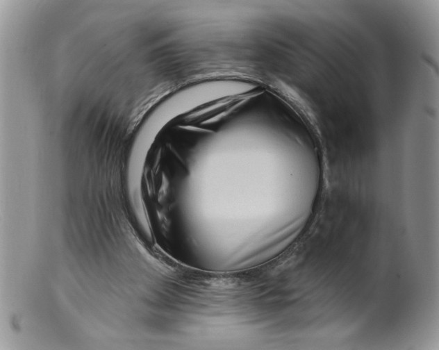 X0000098130105200805151125