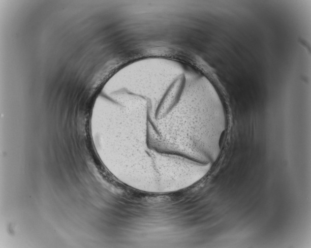 X0000098130106200805151125