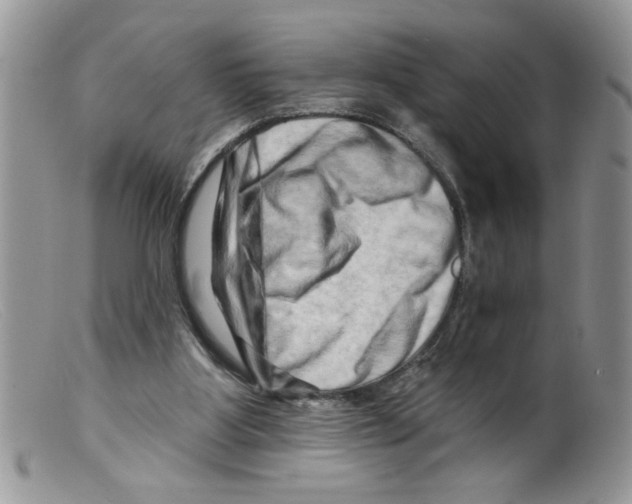 X0000098130107200805151125