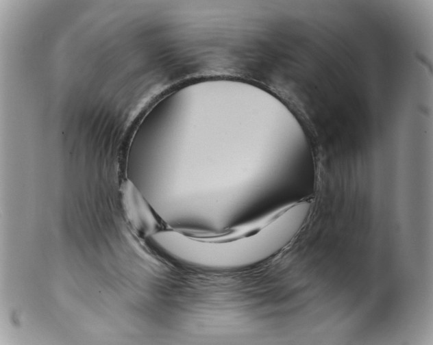 X0000098130108200805151125