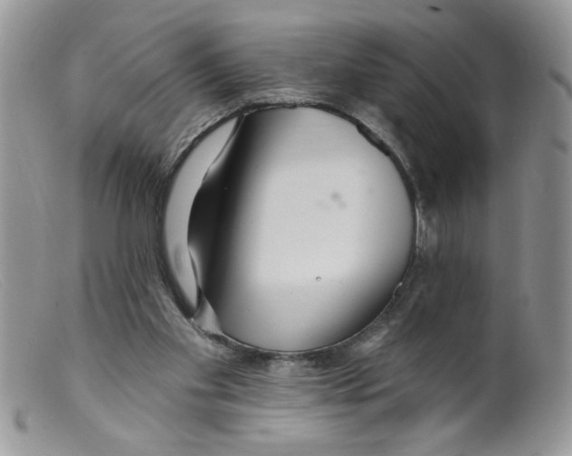 X0000098130109200805151125