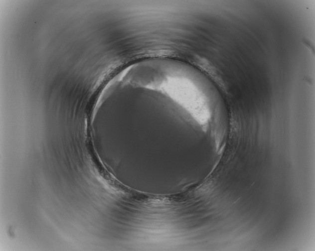 X0000098130110200805151125