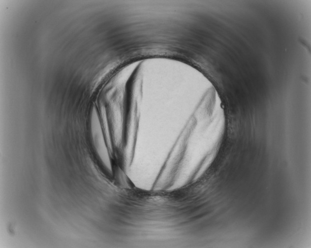 X0000098130111200805151125