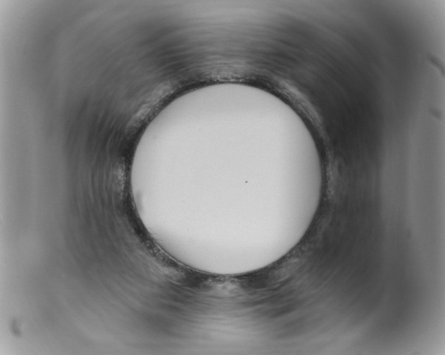 X0000098130113200805151125
