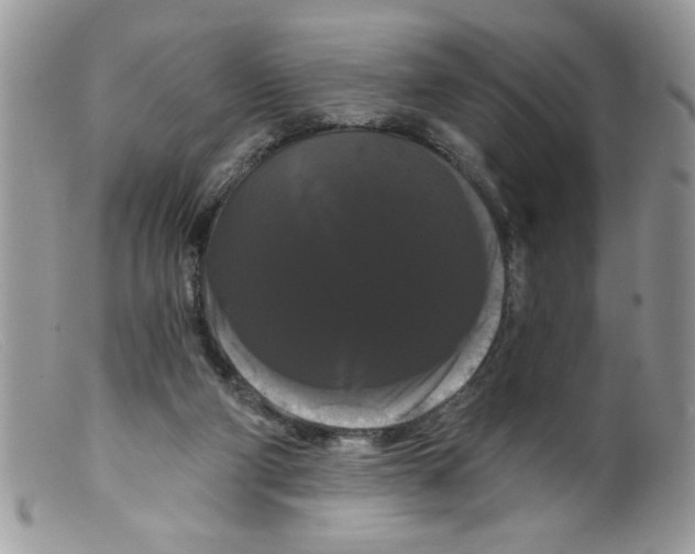 X0000098130114200805151125