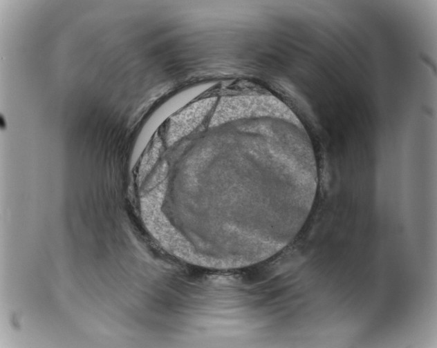 X0000098130115200805151125