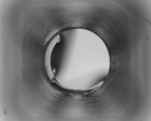 X0000098130116200805151125