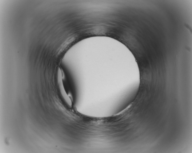 X0000098130120200805151125