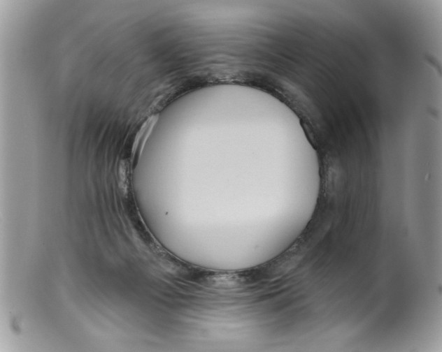 X0000098130121200805151125