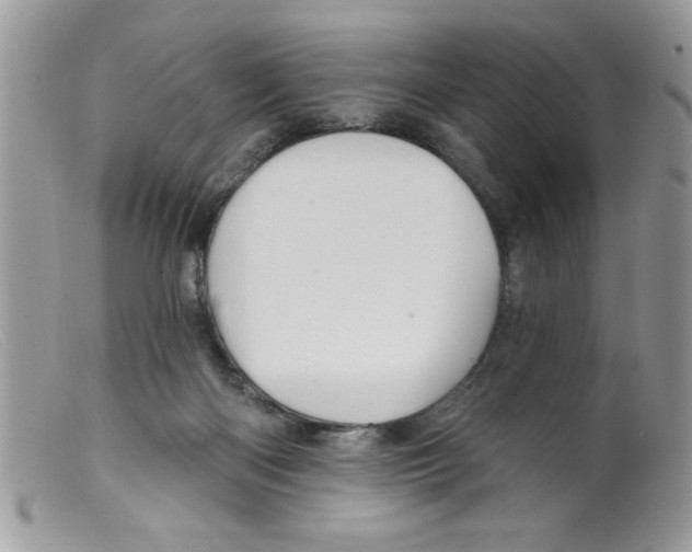X0000098130122200805151125