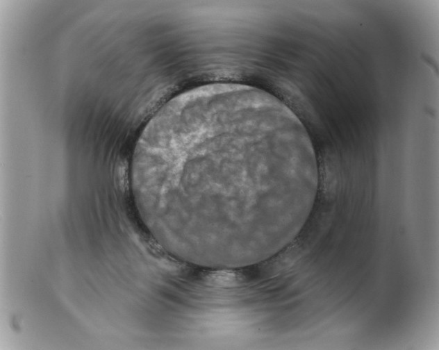 X0000098130123200805151125