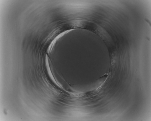 X0000098130124200805151125