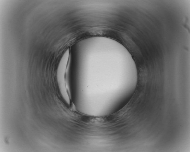 X0000098130125200805151125