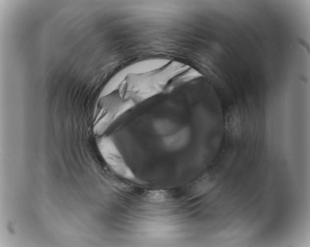 X0000098130127200805151125
