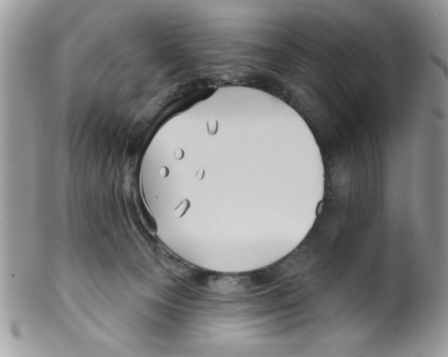 X0000098130129200805151125