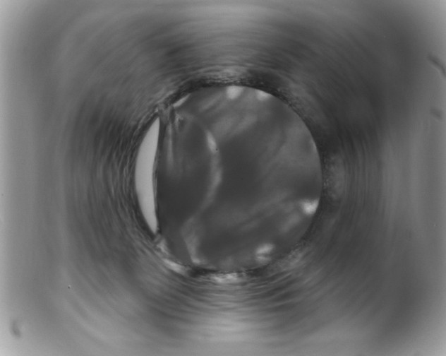 X0000098130131200805151125